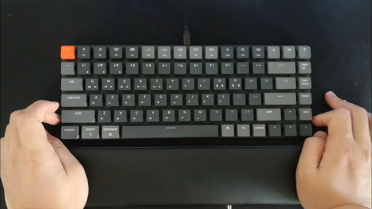 A Starter Keyboard Guide (Which keyboard should you start with?) YouTube