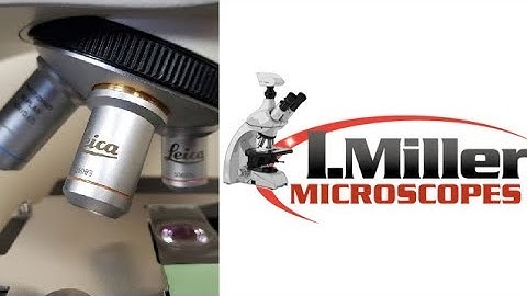 Microscope Parfocal Issues? [2 Troubleshooting Techniques]