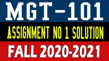 MGT101  Assignment No. 1 Fall 2020