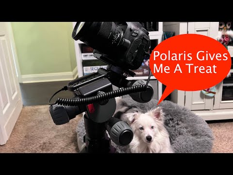 What Polaris can do for you?
