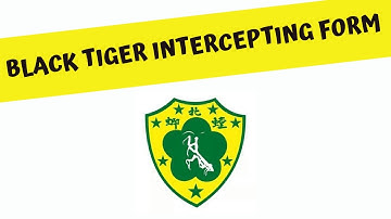 Black Tiger Intercepting Form - Chinese Kungfu training in Brazil