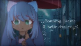 Sonning Meme (1 Hour Challenge) MINOR FLASH WARNING