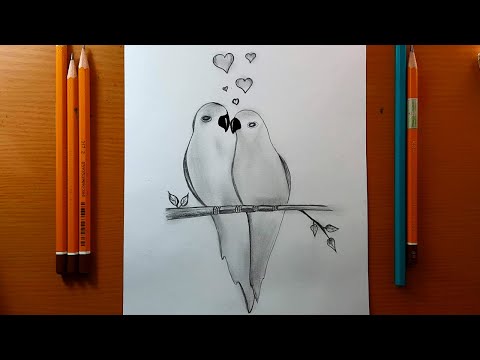 Video: Come Disegnare Gli Animali Con Una Matita Poco A Poco