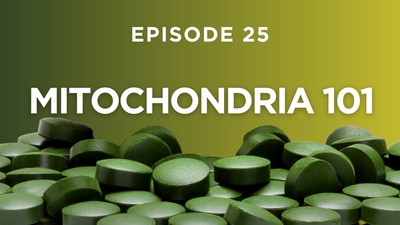 Mitochondria 101: The Science Behind Energy Bits