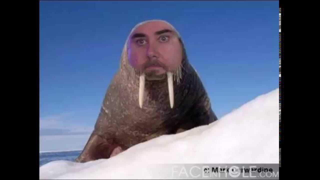 Giant Bombcast 12/01/2015 - Jeff's Still Not A Fan of Shenmue