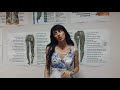 Download 26 августа 2018 г. 26 августа 2018 г.
