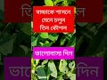 বাচ্চা শাসনে মেনে চলুন ৩ কৌশল #shorts #motivation #viralvideo #mother #maa #foryou #funny #parents