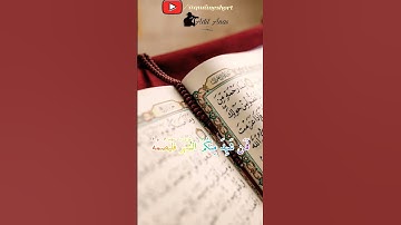 #شهر_رمضان #رمضان_كريم #القرآن_الكريم #تلاوة_خاشعة #ماهر_المعيقلي #اسلام_صبحي #هزاع_البلوشي #ياسر_ا
