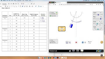 Virtual Pendulum Lab Info