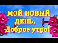 МОЙ НОВЫЙ ДЕНЬ, Доброе Утро! Красивое пожелание в стихах Хорошего Дня!