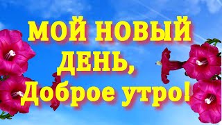 Мой Новый День, Доброе Утро! Красивое Пожелание В Стихах Хорошего Дня!