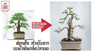 ตัดทดกิ่ง สร้างเรื่องราว บอนไซต้นเกล็ดปลาหมอ Redesign Bonsai [EP120]