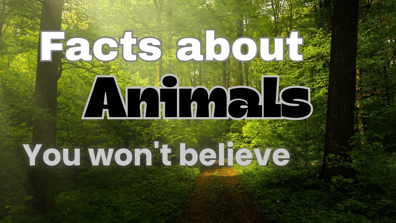 insane facts about animals that you won't believe - YouTube