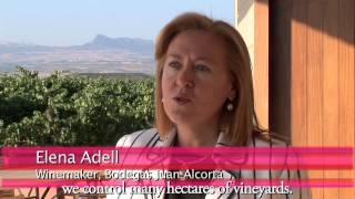 How to Read the Wine Labels