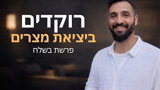 Download Lagu בני ישראל יוצאים לחופש MP3