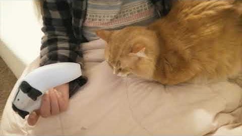 ASMR PS5 Controller Sounds NO TALKING