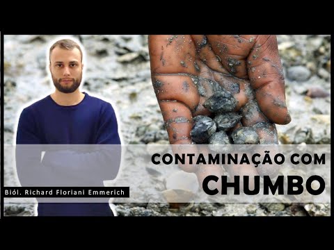 Vídeo: Os vegetais podem absorver chumbo do solo?