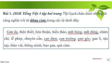 LUYỆN TỪ VÀ CÂU MỞ RỘNG VỐN TỪ DŨNG CẢM LỚP 4 (Alfred Nobel School)