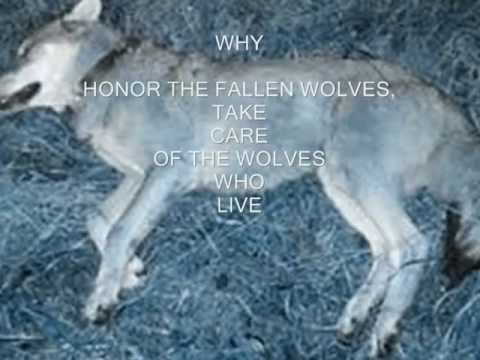 Rik Bakker .ODE to KYNNA, " THE SHOCKING TRUTH ".Native American Music