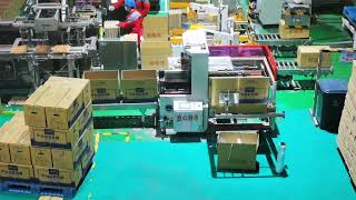 Fully automatic packing line for egg tray ,Auto case packer ,robot palletiser and metal detector