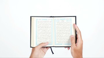 سورة النصر - أحمد محمد سلامة