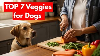 Top 7 Veggies for Dogs That Boost Health (And 3 You Should Avoid) 🐶🥕🥒