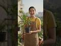 Lemon plant Reporting 🪴 |#lemon #plants #reporting #fruits #terracegarden #shorts #viral #ytshorts