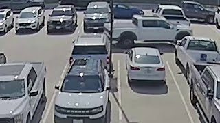 Cars stolen while at repair shop, who is responsible? KPRC 2 Investigates