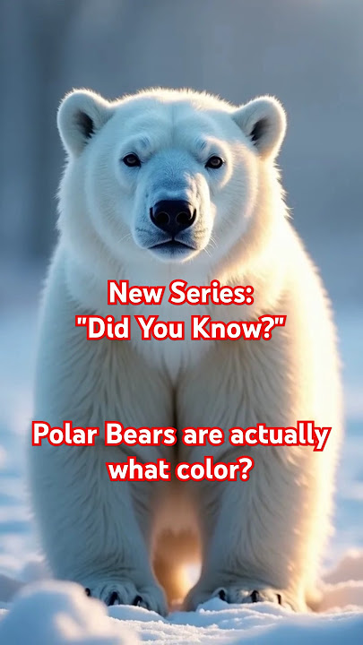 Did You Know? Polar Bears Are Actually Glowing?
