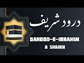 A Shaikh is live!