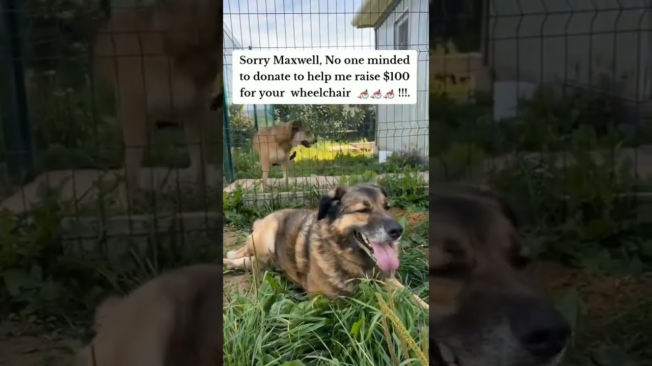 Sorry Maxwell,No one minded to donate to help you💔raise $100 for your wheelchair💔💔🙏🙏