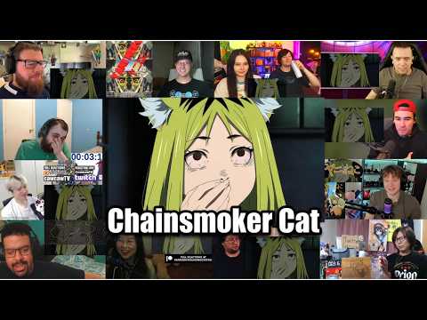 Chainsmoker Cat Opening "Nanmonee" by Wasureranneyo Mega Reaction Mashup