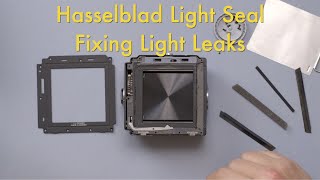 Hasselblad Light Seals, Fixing Light Leaks || How To screenshot 5