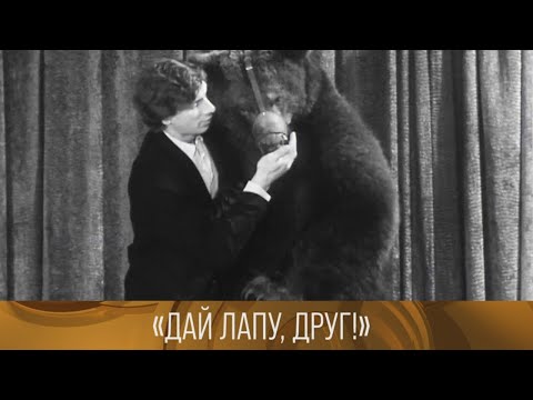 "Дай лапу, друг!" (1974) / "Солнечный клоун. Олег Попов" (1986)  // XX век @Телеканал Культура