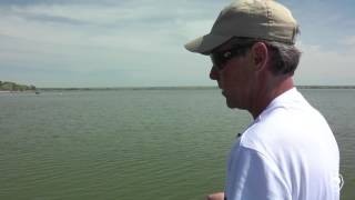 Gulp Minnow...fishful Thinkers G Money...