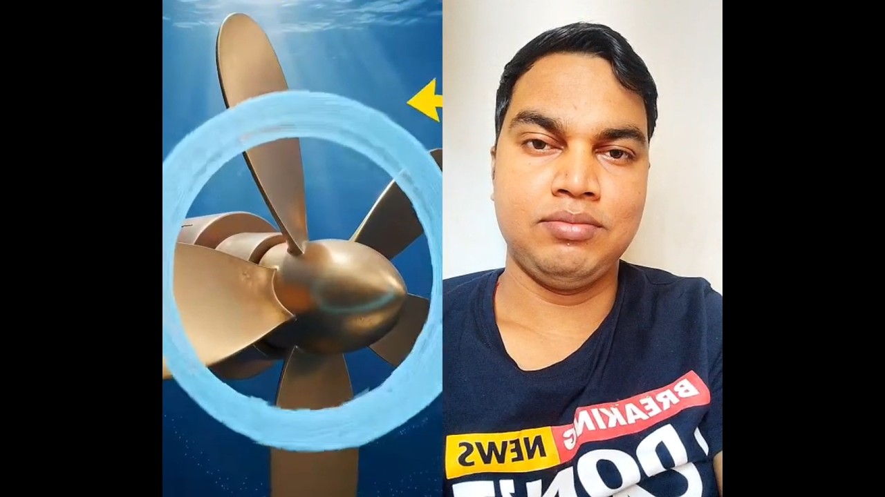 How Dung Beetles Roll Straight In Total Darkness(3D Hindi reaction)