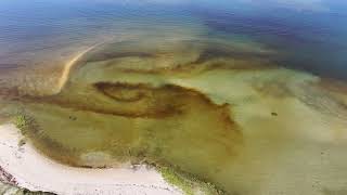 Rust Tide Blooms in Eastern Shinnecock Bay