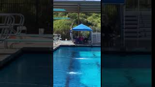 1 Meter - 201B - Back Dive Pike