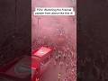 Watching the Arsenal parade from above like this アーセナのパレードを上から眺めているところ #soccer #football