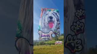 Truff 21m T. HTC - SP _ #balão #show #pipa #art #resgatedebalão #photography #shorts #vlog