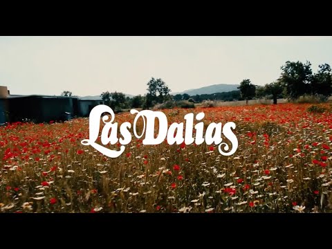 Las Dalias de Ibiza - 2019