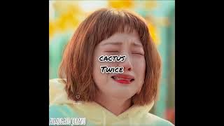 Cactus - Twice (Indo lirik)