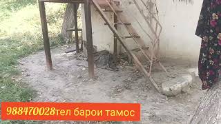 картинка: Боги шахсии фуруши дар Нефтобод