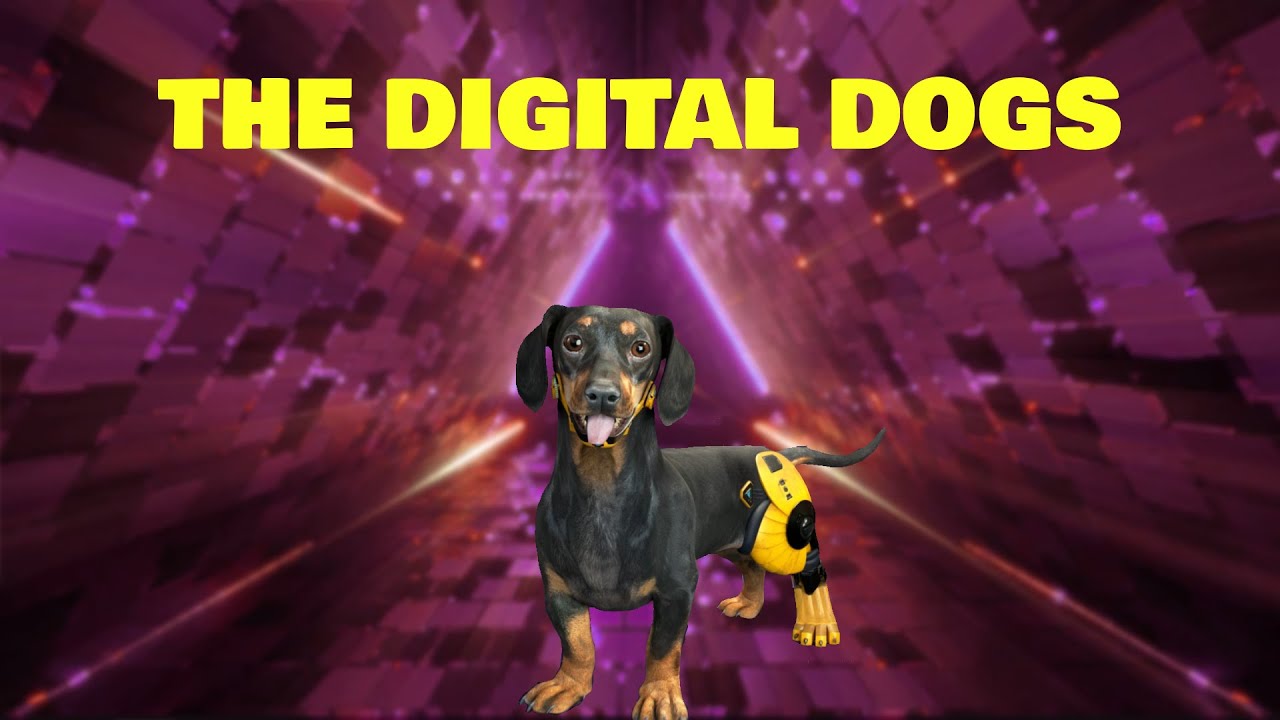 This is what happens when AI meets NFTs THE DIGITAL DOGS🔥 YouTube