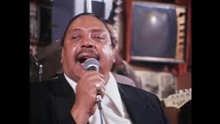 Big Joe Turner & Jay McShann - Honey Hush