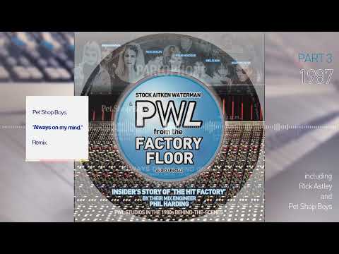 Clip from Part 3 on Pet Shop Boys | Stock Aitken Waterman & PWL ‘From The Factory Floor’ | Podcast