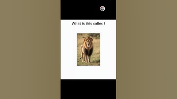 English quiz challenge part 932 #newquiz