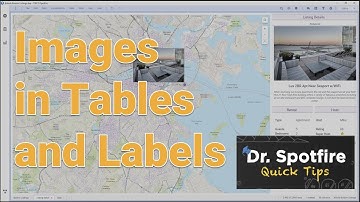 Using Images in Spotfire Chart Labels and Tables