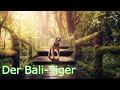 Das traurige Schicksal des Bali-Tiger! Ausgestorben oder nicht? - Auf der Suche nach der Wahrheit!