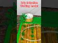 Drip irrigation working model | science project #scienceproject #project #science